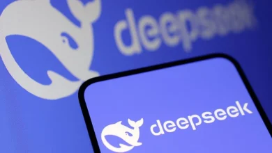 DeepSeek