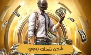 بطريقة آمنة 100%.. خطوات شحن شدات ببجي عبر الموقع الرسمي midasbuy