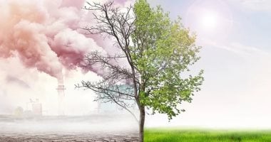 دراسة: تغير المناخ يقلل