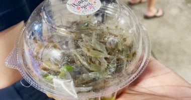بلاش أطباق بلاستيك.. دراسة