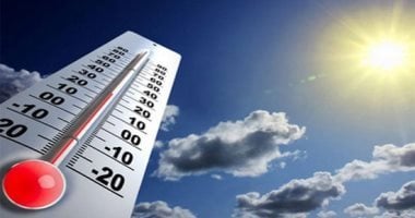 مدير التنبؤات والإنذار المبكر