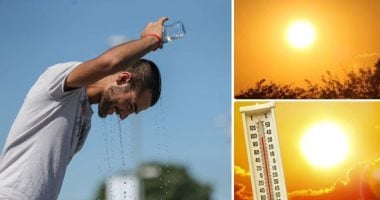 أخبار مصر.. الطقس غدا..