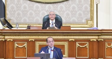 227 مليار جنيه للمعاشات..