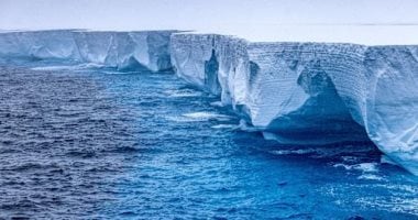 مخلوقات مجهرية تحارب تغير
